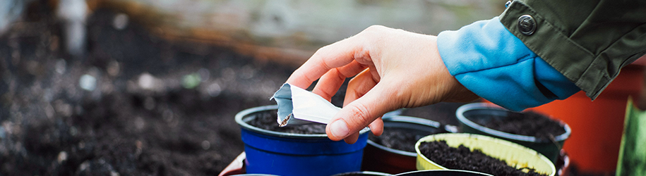 Someone pouring seeds into a pot