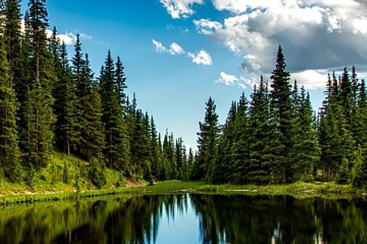 Panoramic Delta County vista showing evergreen trees and sky reflected in the water