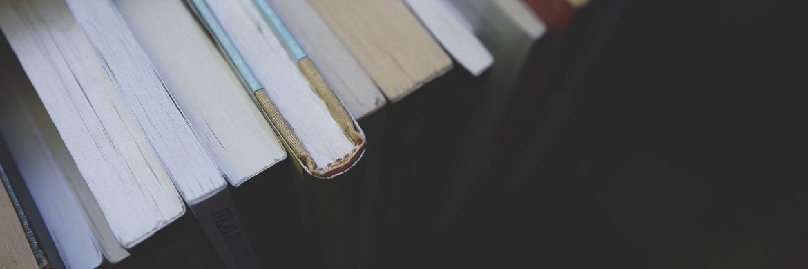 A top view of an arrangement of books that are standing on a shelf.