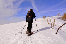 Person walks alongside a fence with snowshoes and poles