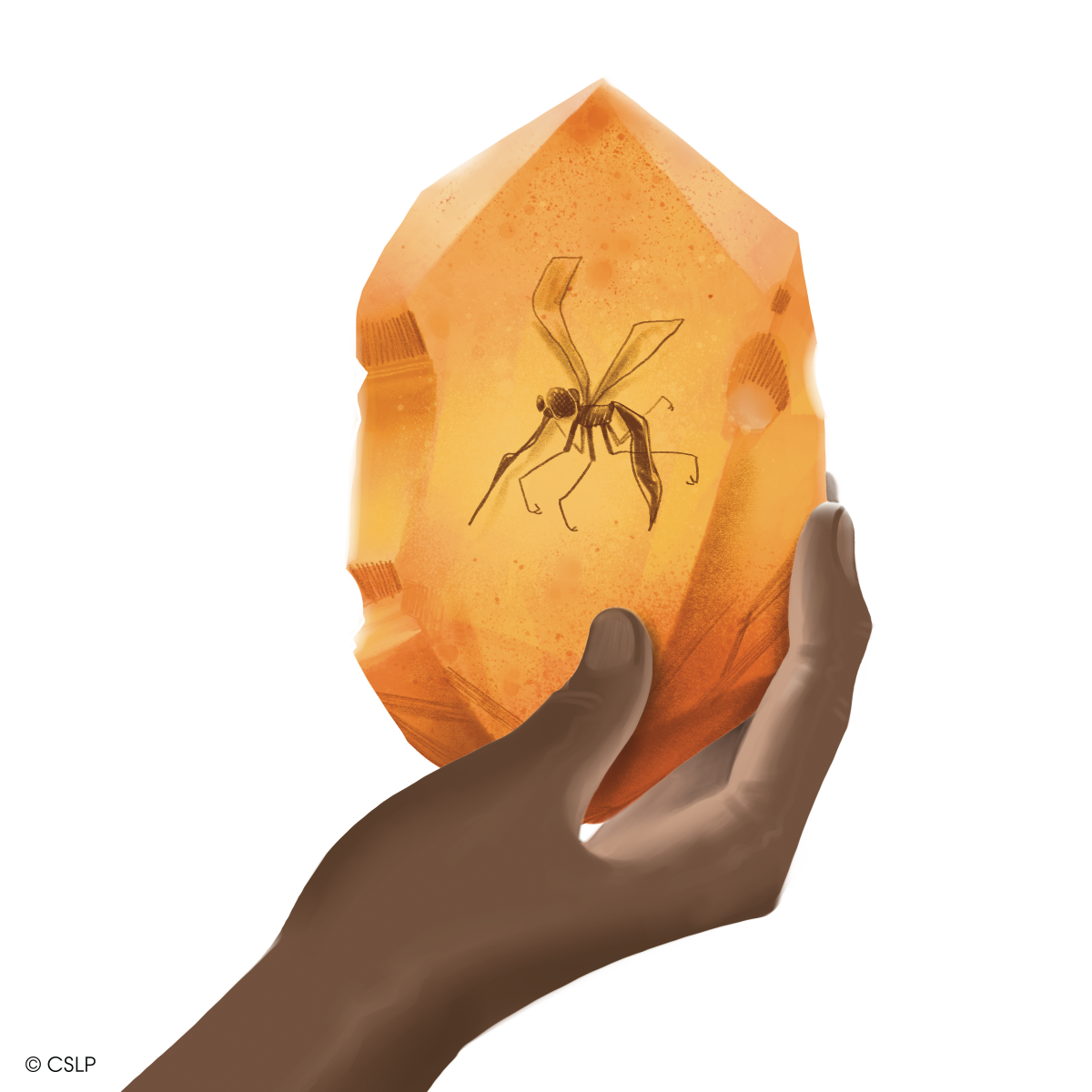 A hand holds up a piece of amber that has a fossilized mosquito within it.