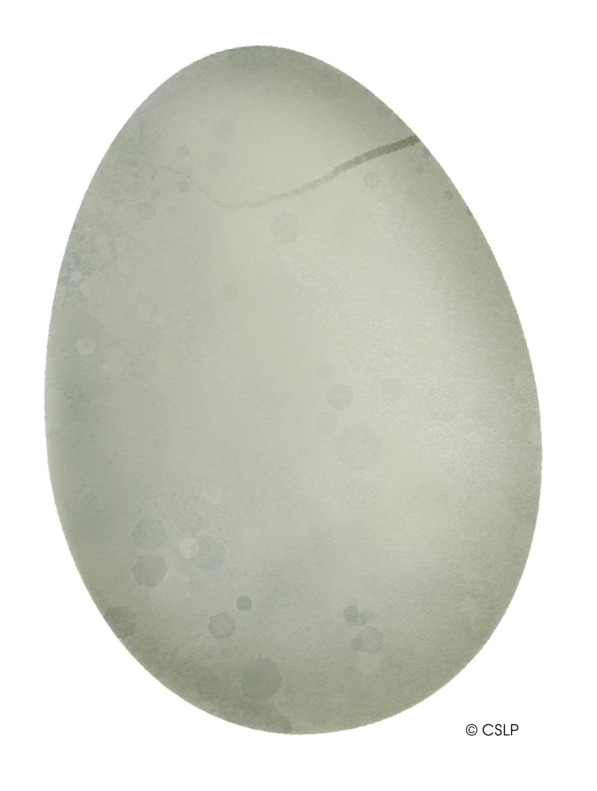 A large dinosaur egg with a crack in the upper right corner.