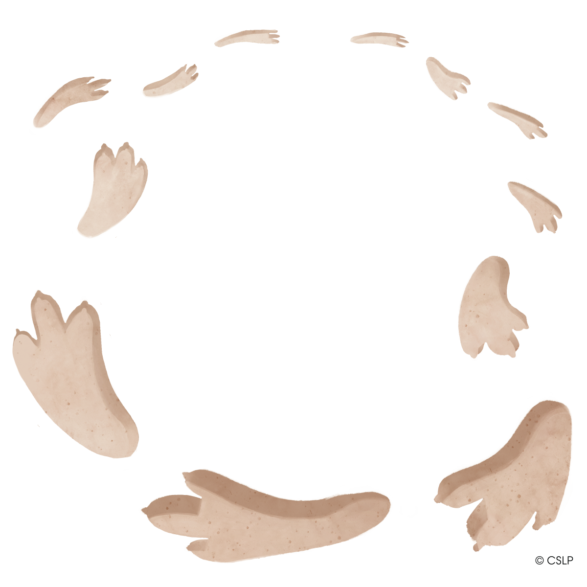 A set of dinosaur tracks form a circular path.